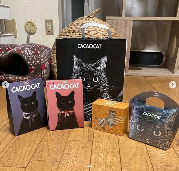 「CACAOCAT」のチョコレート