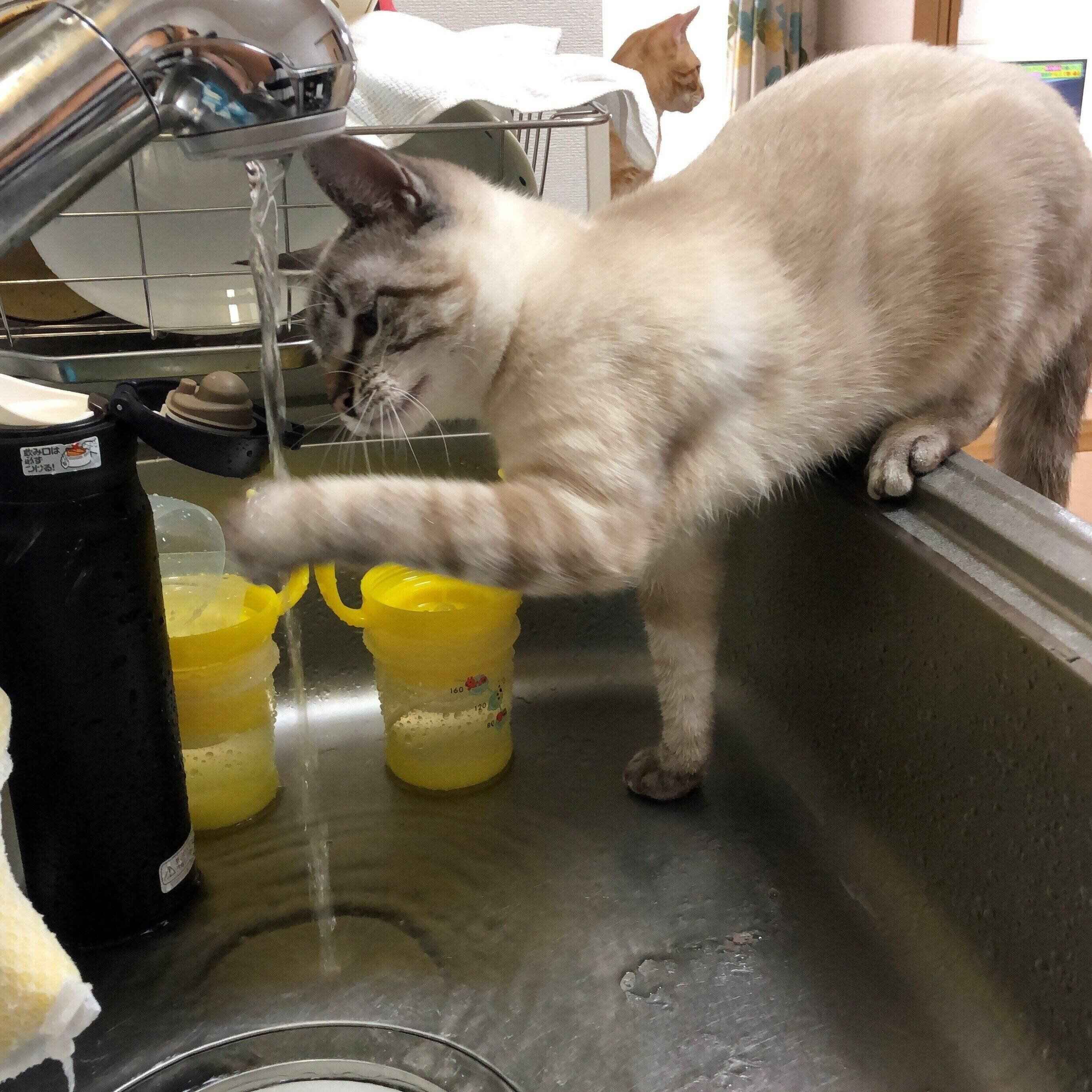 写真提供／読者