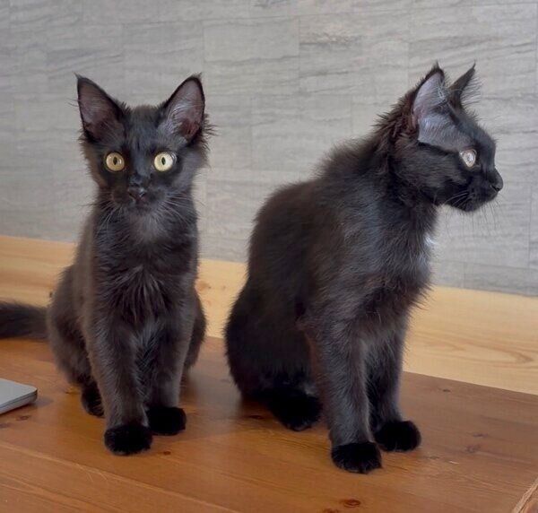 仲良し2ショット