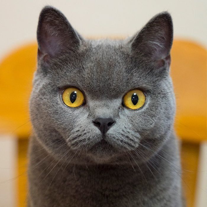 撮影／小森正孝