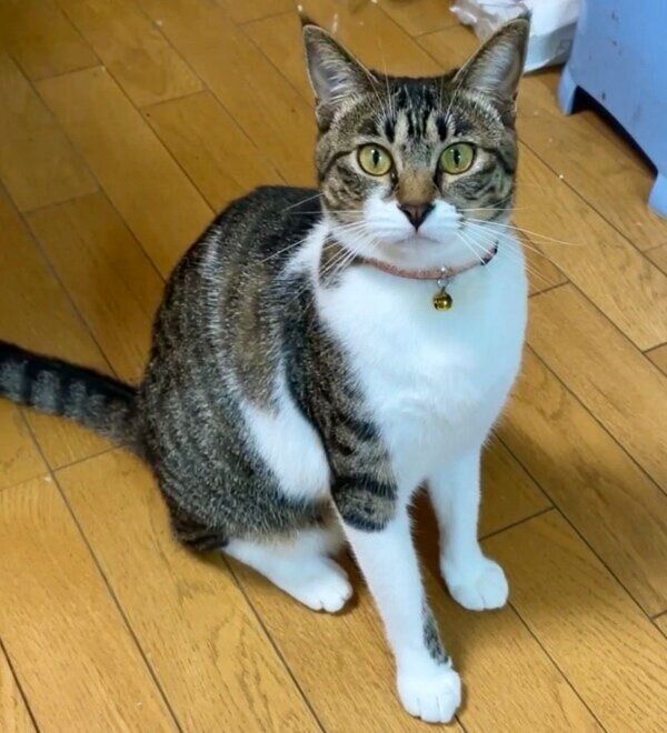 1才になったモモちゃん