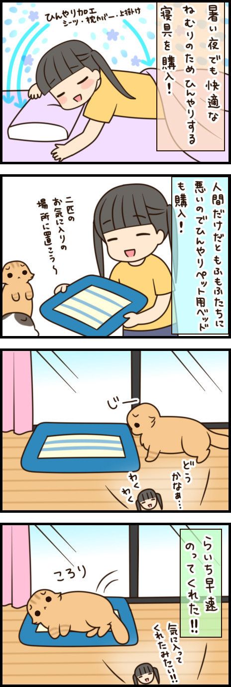 「もふもふスコたん」vol.25