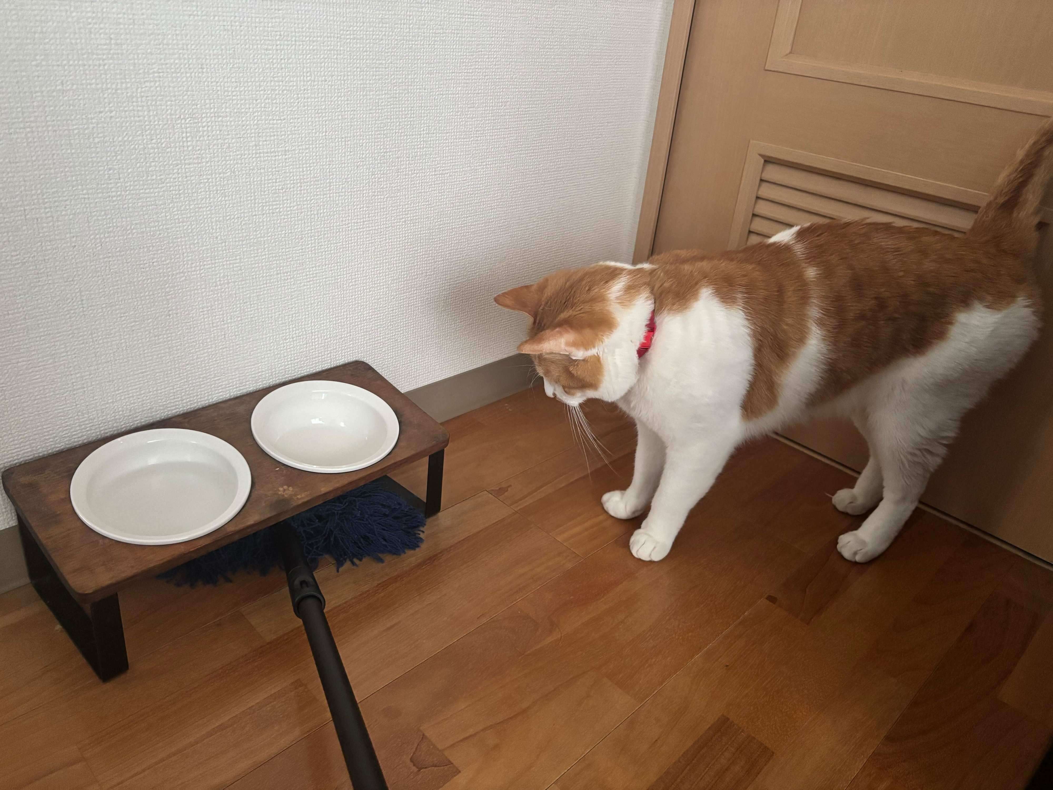 狭い隙間にも楽々入るモップ