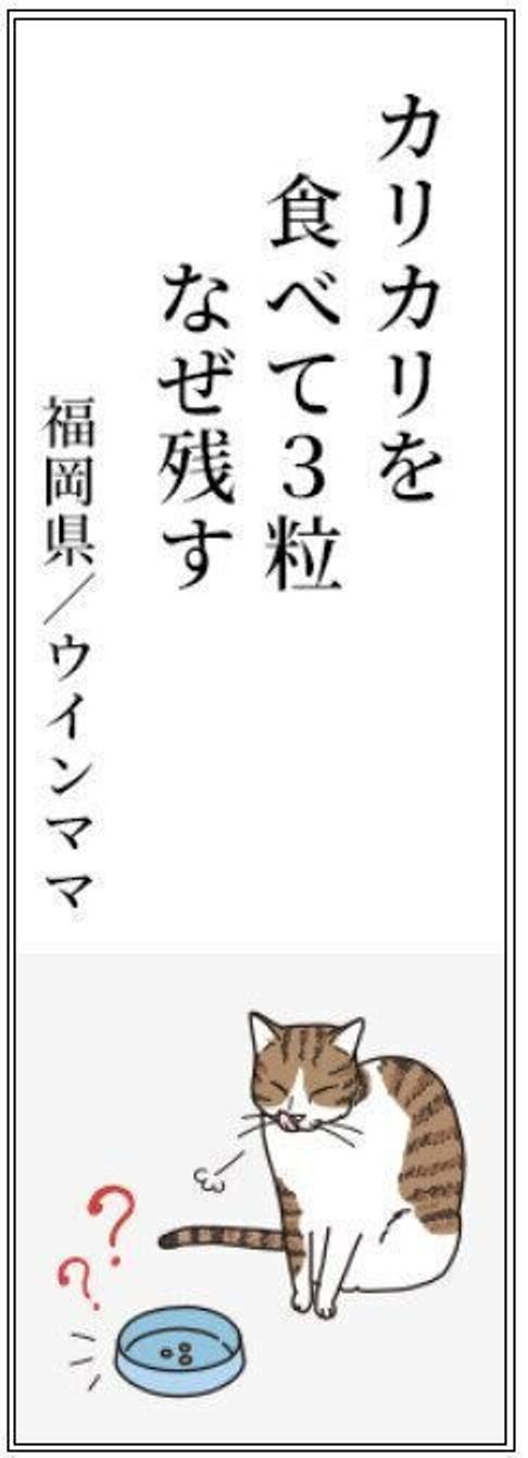 猫飼い川柳 がおもしろい 愛猫に尽くす飼い主さんたちの心の一句特集 猫あるある川柳8選 Vol 02 ねこのきもちweb Magazine 猫飼い川柳 がおもしろい 愛猫に尽くす飼い主さんたちの心の一句特集 猫あるある川柳8選 Vol 02 ねこのきもちweb Magazine