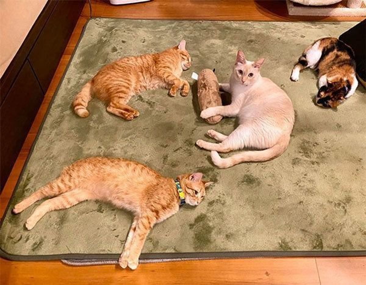 K8qklqp Ssbkgm K8qklqp Ssbkgm