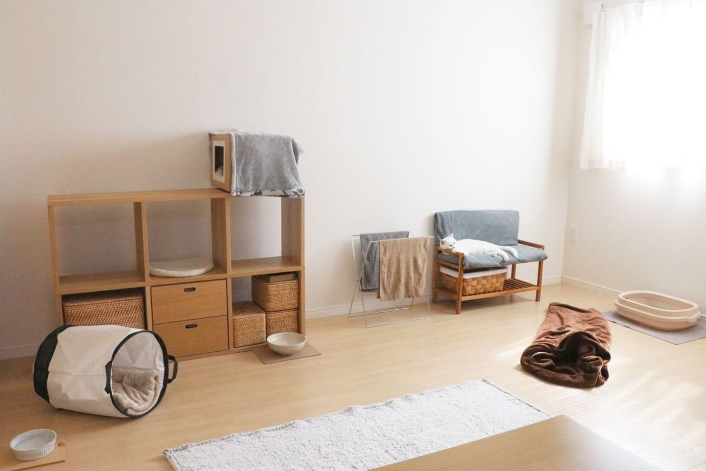 病気を防ぐ 猫のための エコ な部屋づくり ねこのきもちweb Magazine 病気を防ぐ 猫のための エコ な部屋づくり ねこのきもちweb Magazine