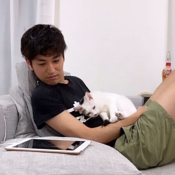 パパさんの懐で寝転がるコメちゃん