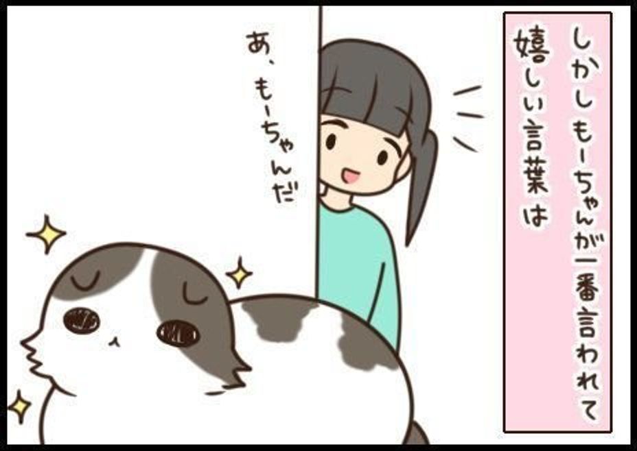 猫が言われて嬉しい 言葉 と ツンデレもーちゃんの デレ もふもふスコたん Vol 108 ねこのきもちweb Magazine 猫が言われて嬉しい 言葉 と ツンデレもーちゃんの デレ もふもふスコたん Vol 108 ねこのきもちweb Magazine
