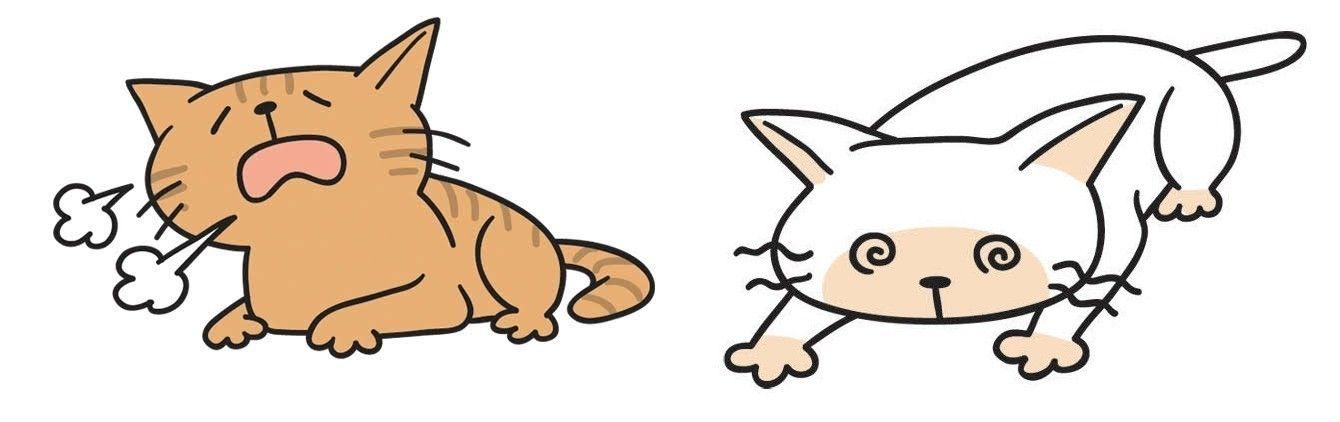 イラスト／河南好美さん