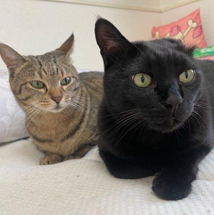 仲よく並ぶどんちゃんと葉月ちゃん