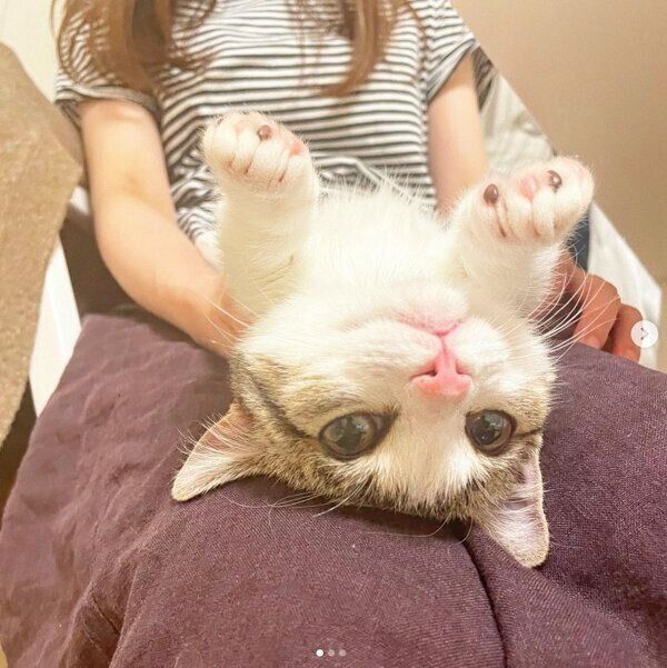 甘える琥太郎くん