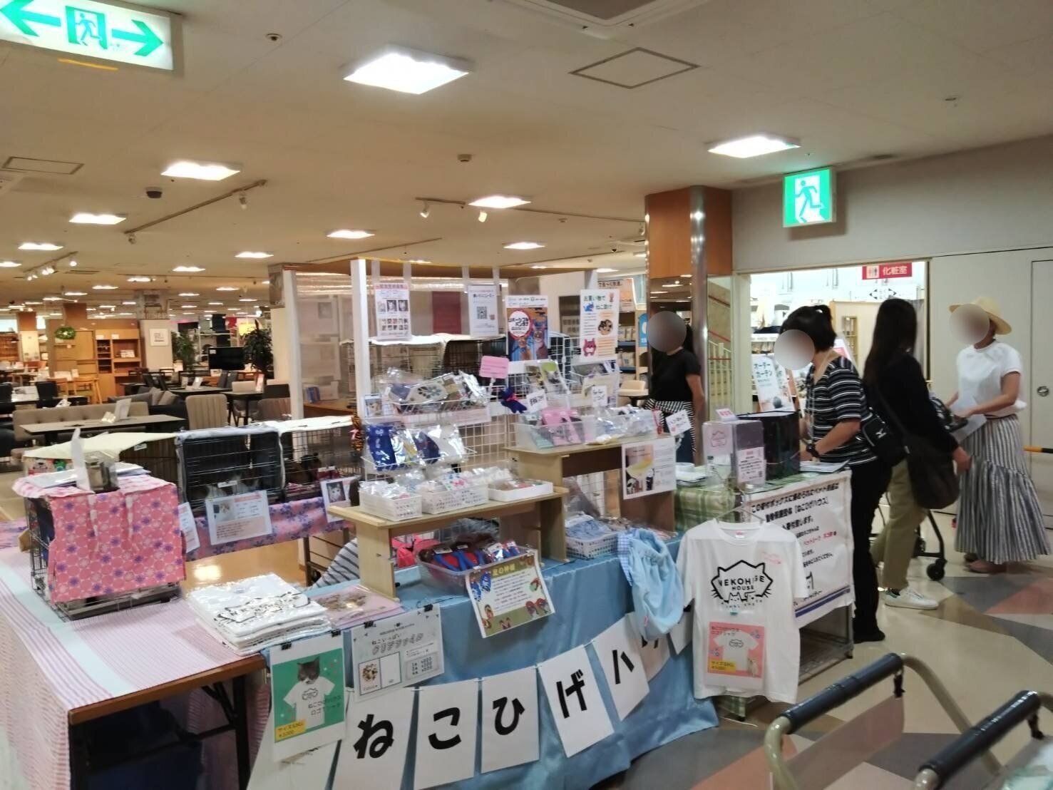 写真提供／ねこひげハウス