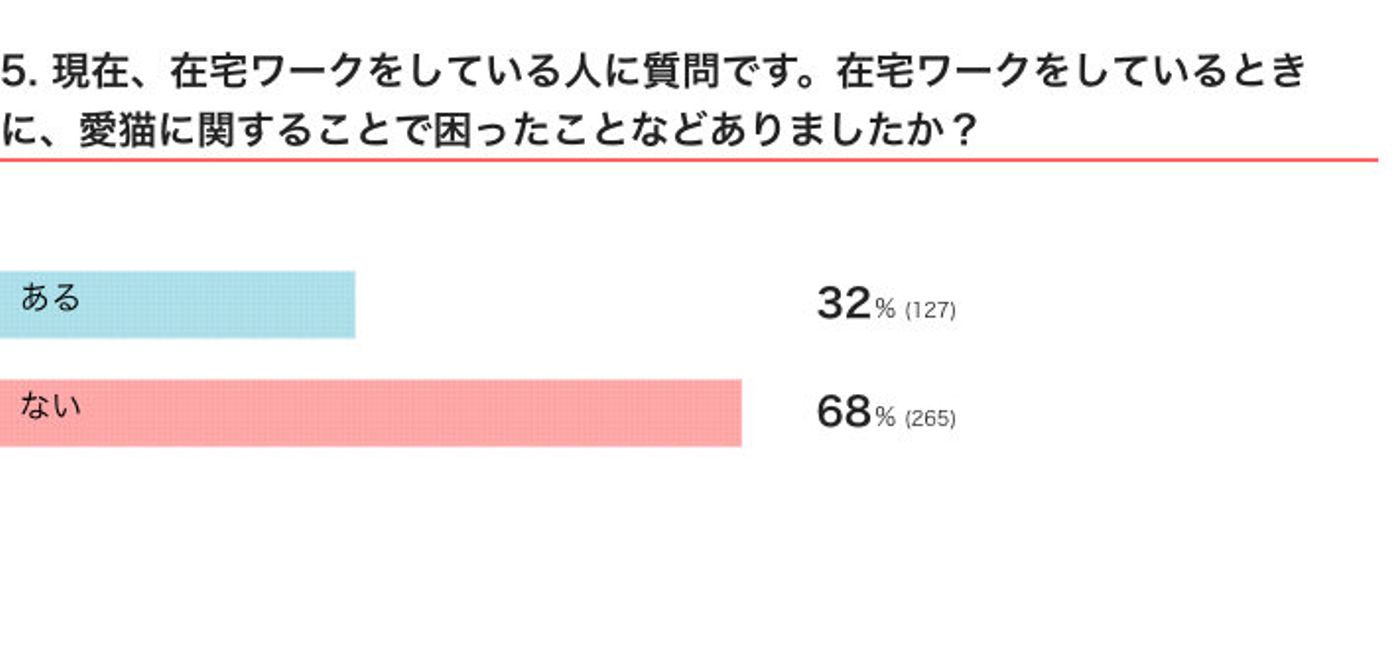 可愛いけど 困ることも 猫がいる環境で在宅ワークをする飼い主のホンネ ねこのきもちweb Magazine