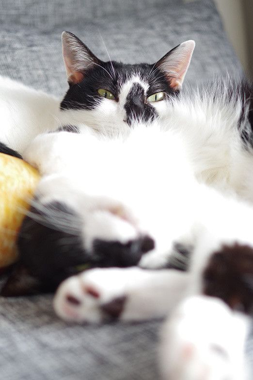 夢みるソラのとんでもない行動