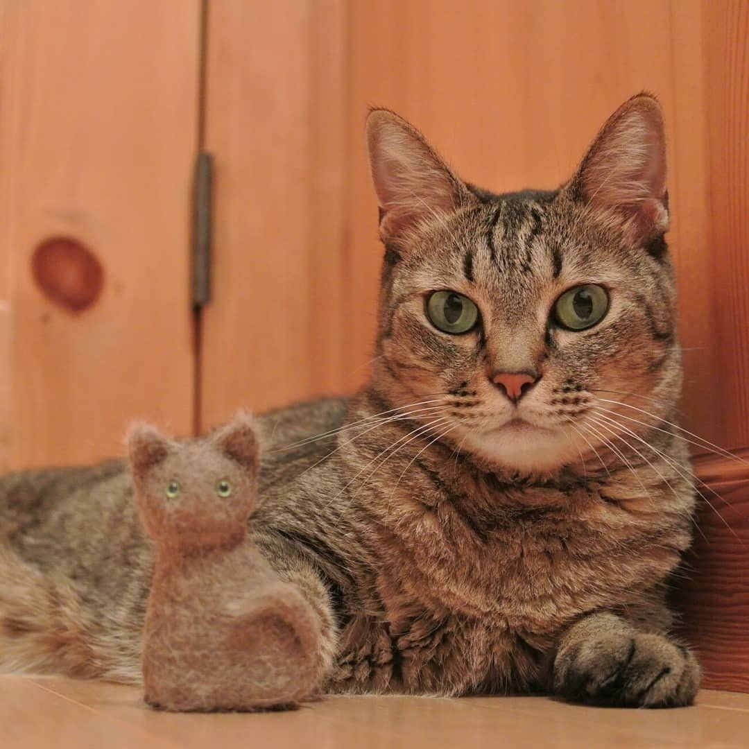 猫と猫毛フェルトで作った猫マスコット