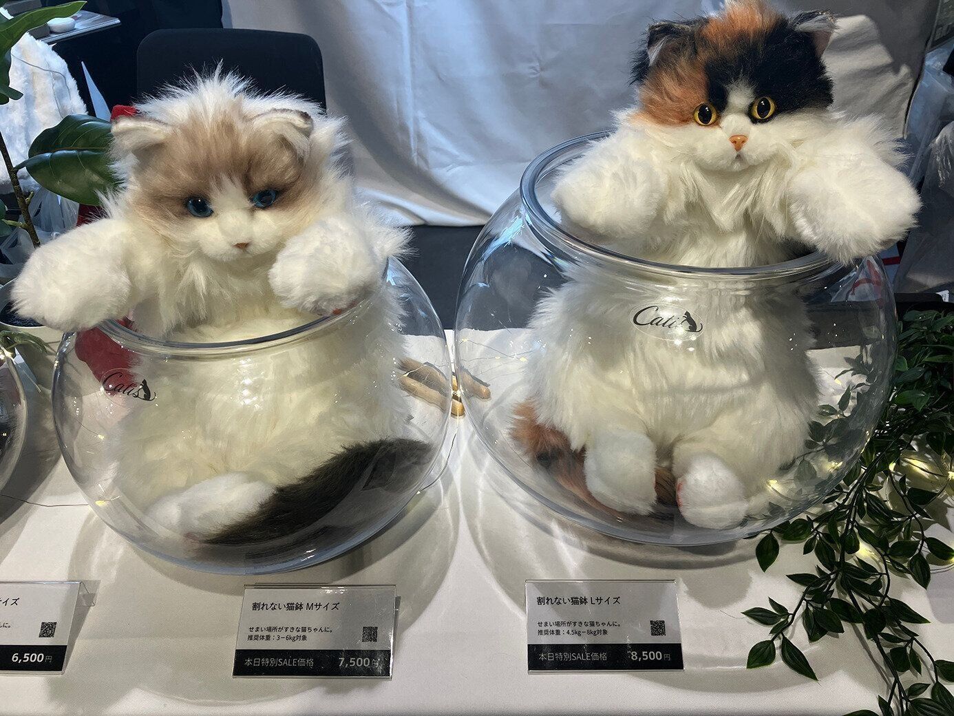 猫が入ると“液体”になると、SNSでも話題の「猫鉢」。ポリカーボネート製なので、割れにくいだけでなく、軽いのもポイントです♪