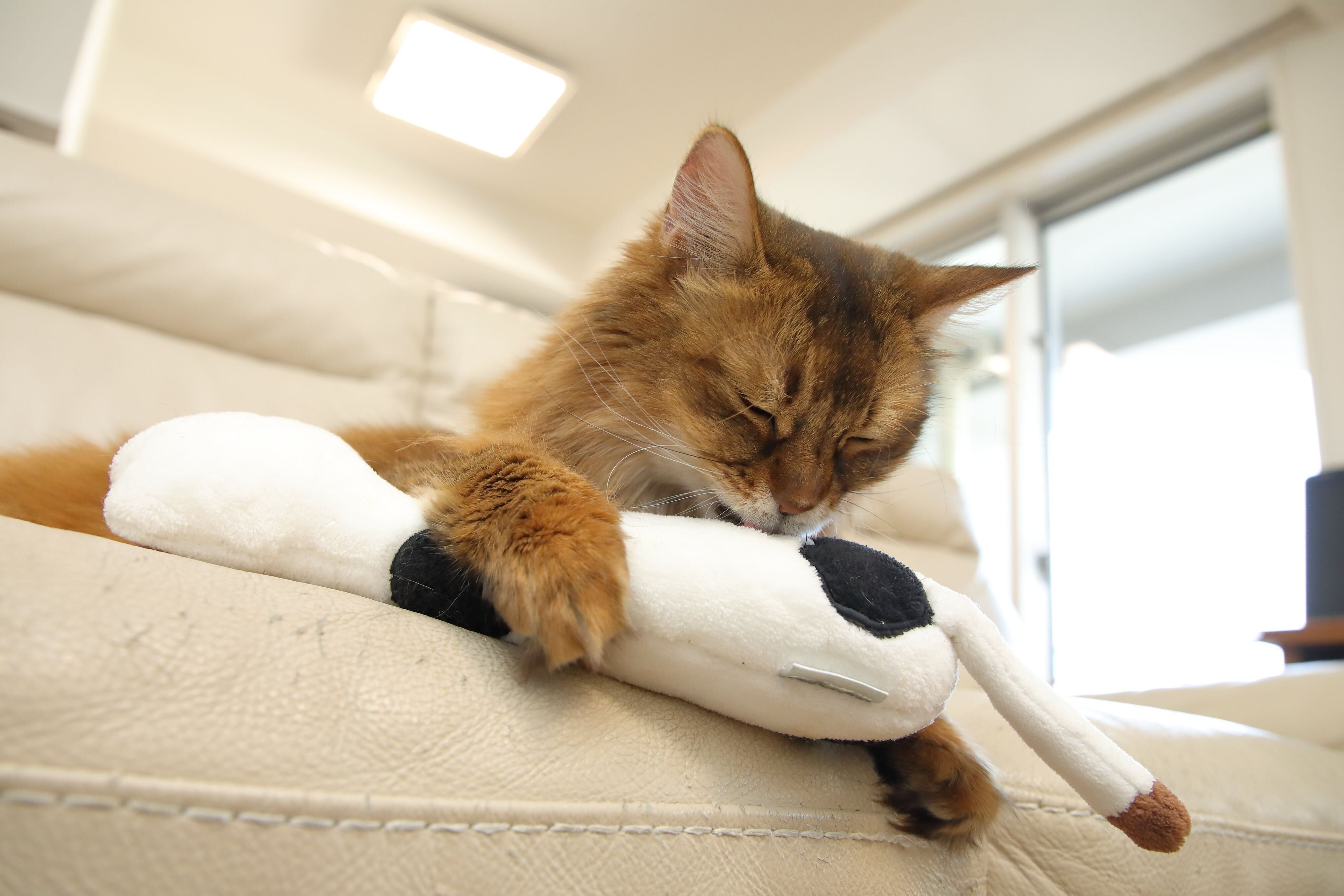 撮影／尾﨑たまき