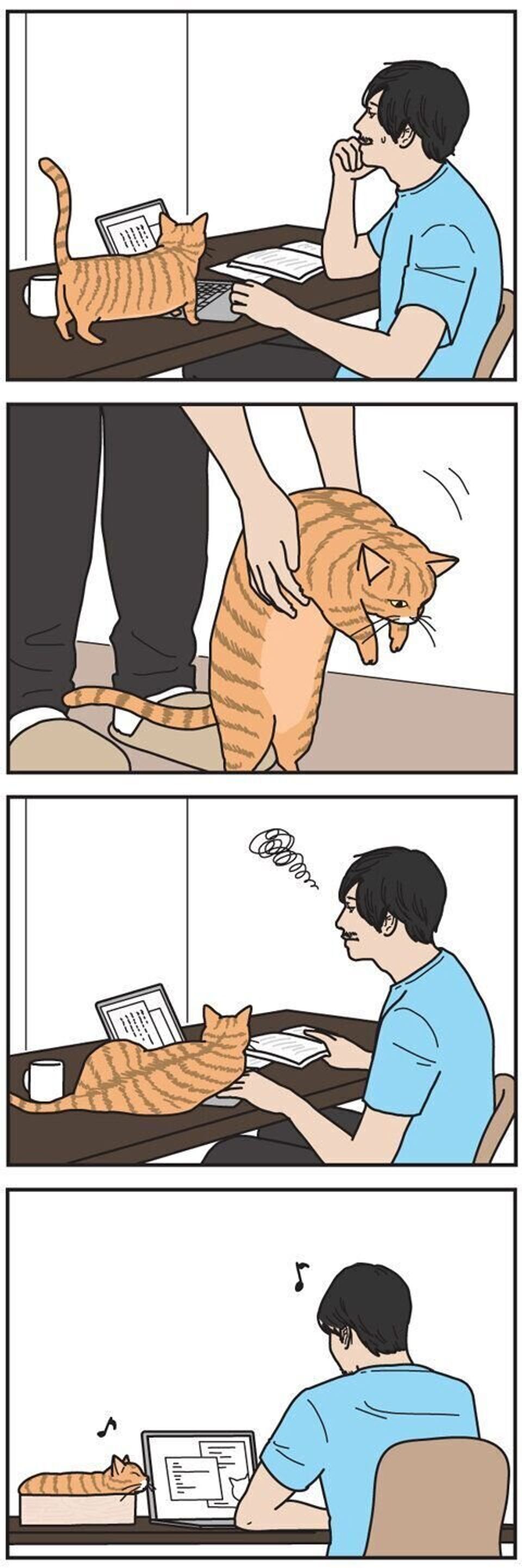 テレワーク環境は猫にも必要 男の猫道 ねこのきもちweb Magazine限定話 Vol 45 ねこのきもちweb Magazine テレワーク環境は猫にも必要 男の猫道 ねこのきもちweb Magazine限定話 Vol 45 ねこのきもちweb Magazine