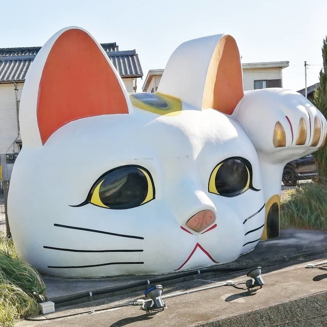 常滑市のとこにゃん