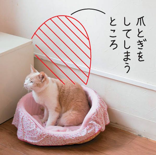 ベッドでくつろぐ猫