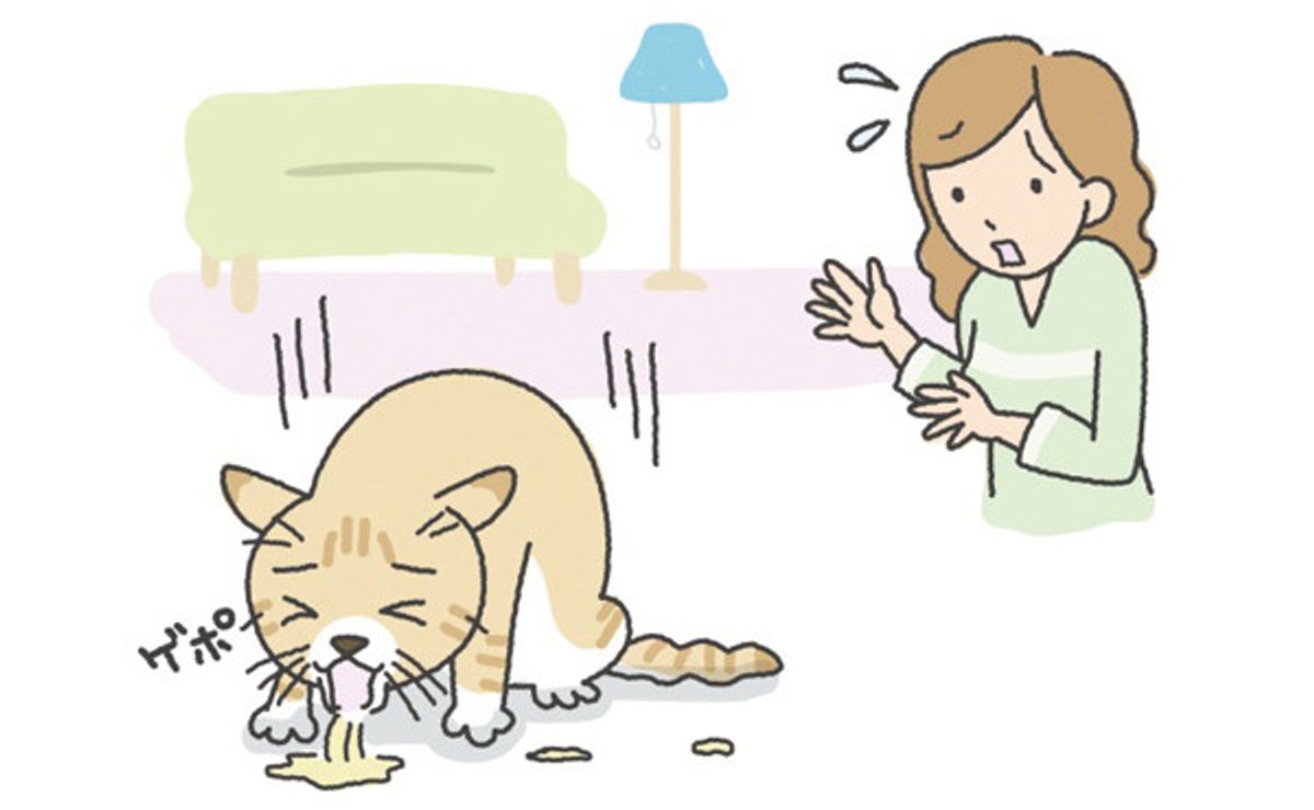 症状に気付きにくい 沈黙の臓器 肝臓とすい臓の病気 ねこのきもちweb Magazine 症状に気付きにくい 沈黙の臓器 肝臓とすい臓の病気 ねこのきもちweb Magazine