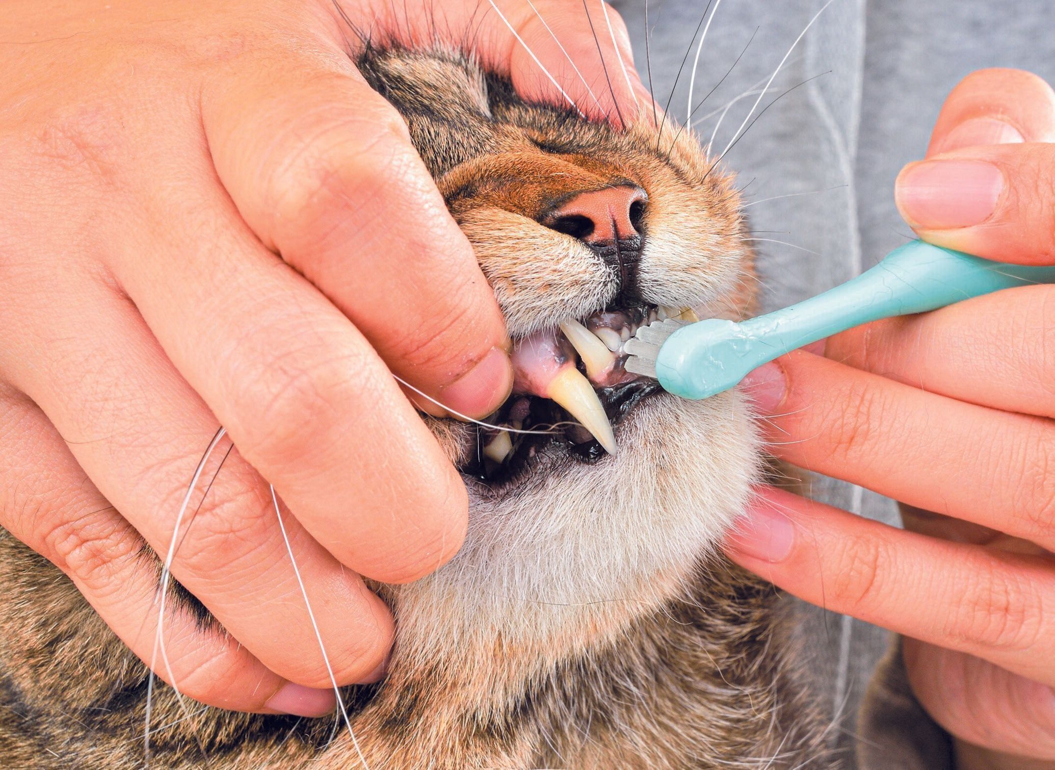 撮影／佐藤正之