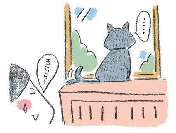 名前を呼ぶとしっぽを使って返事する猫