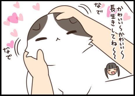 「もふもふスコたん」サムネイル