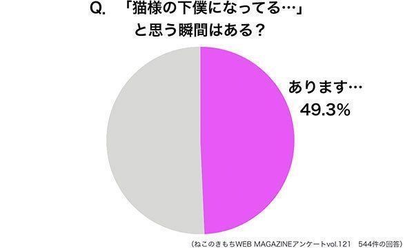猫様の下僕になっていると思う瞬間