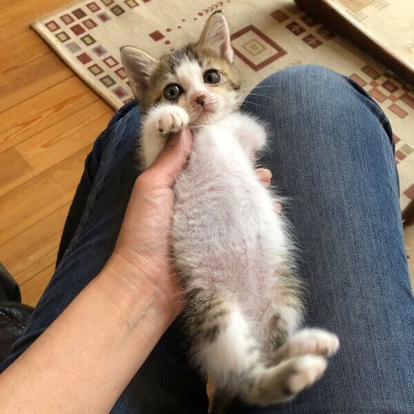 くつろぐねんねちゃん