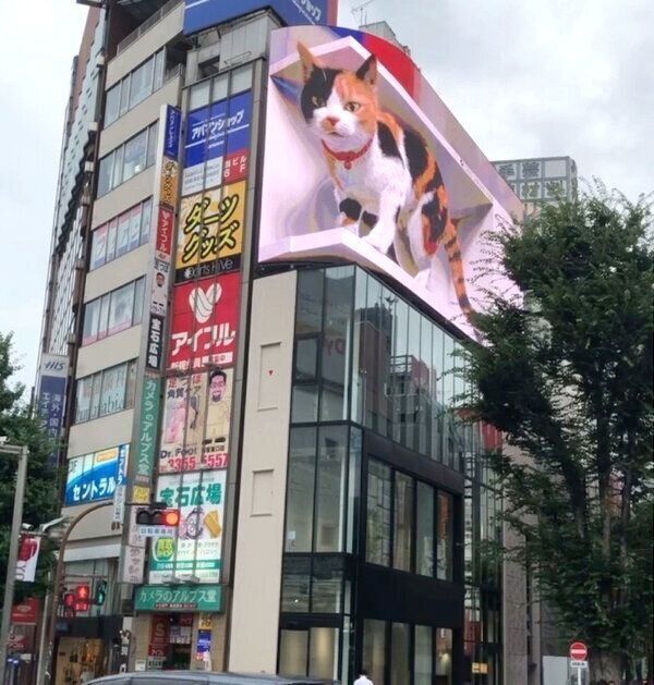 「3D巨大猫」