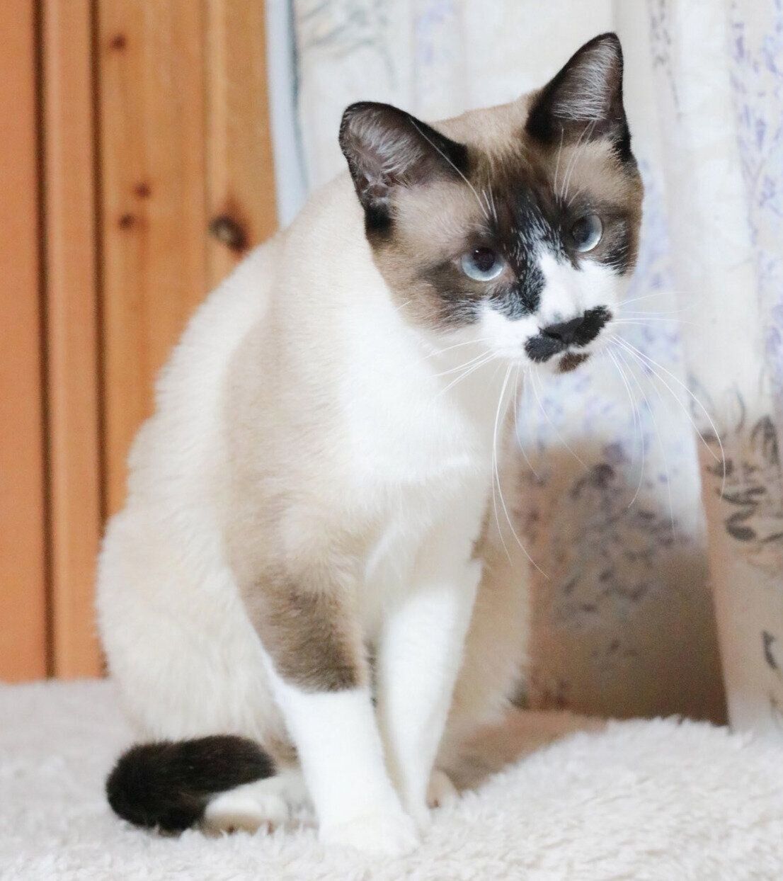 かわいい表情をするちーちゃん