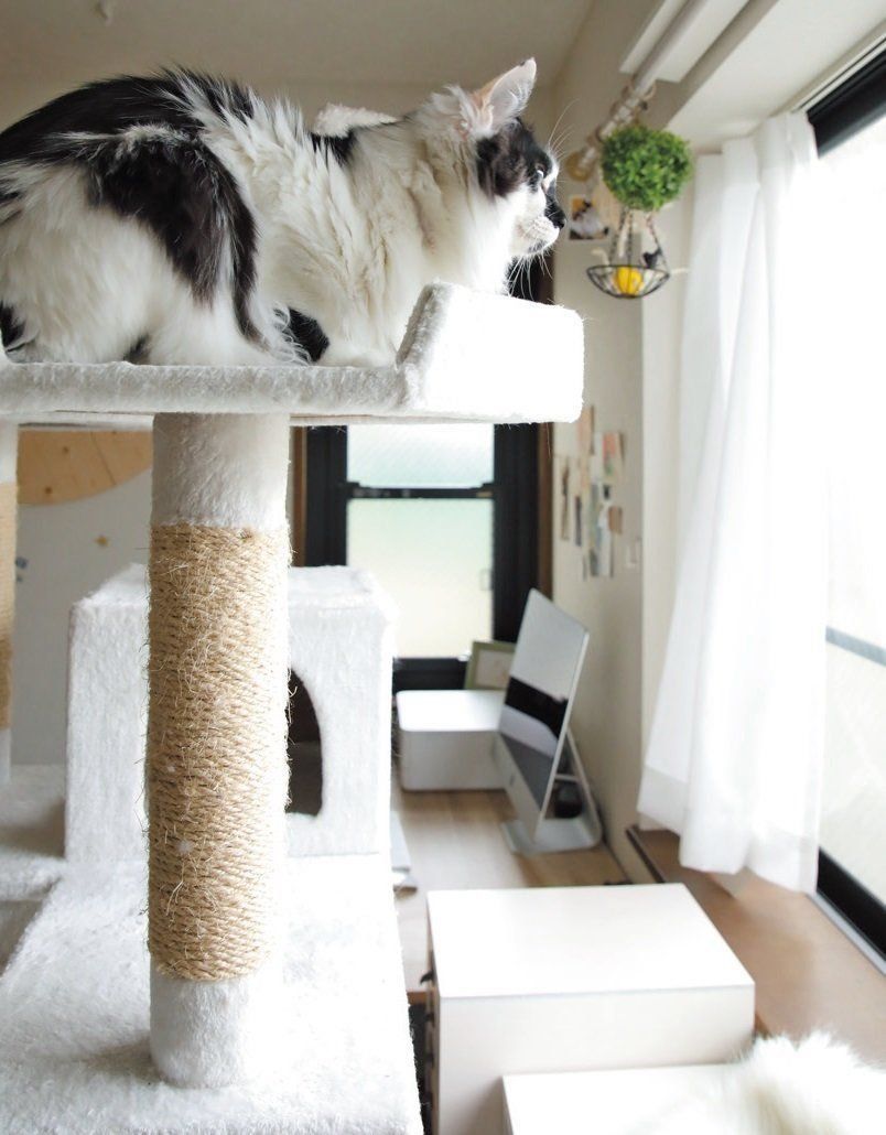 撮影／尾﨑たまき