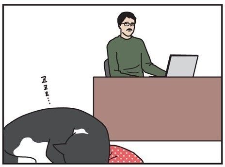 「男の猫道」サムネイル