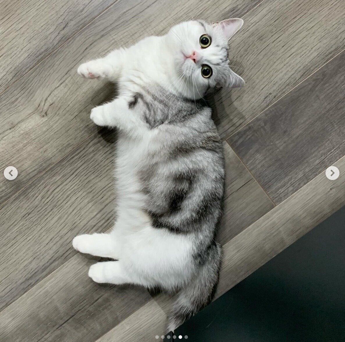 成長したつなちゃん