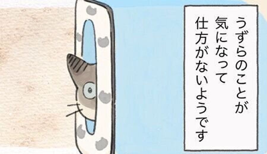 うーネェさんを察知する能力は誰にも負けません かんたろうのうずら観察眼 連載 ねこ連れ草 1話め ねこのきもちweb Magazine うーネェさんを察知する能力は誰にも負けません かんたろうのうずら観察眼 連載 ねこ連れ草 1話め ねこのきもちweb Magazine