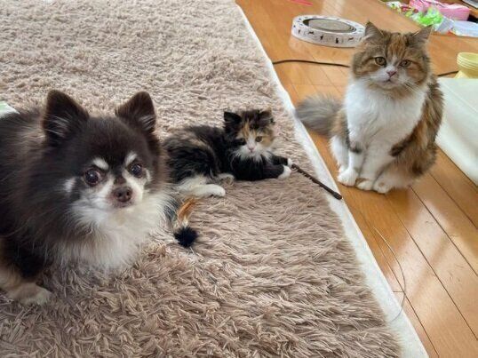 3兄妹の家族写真