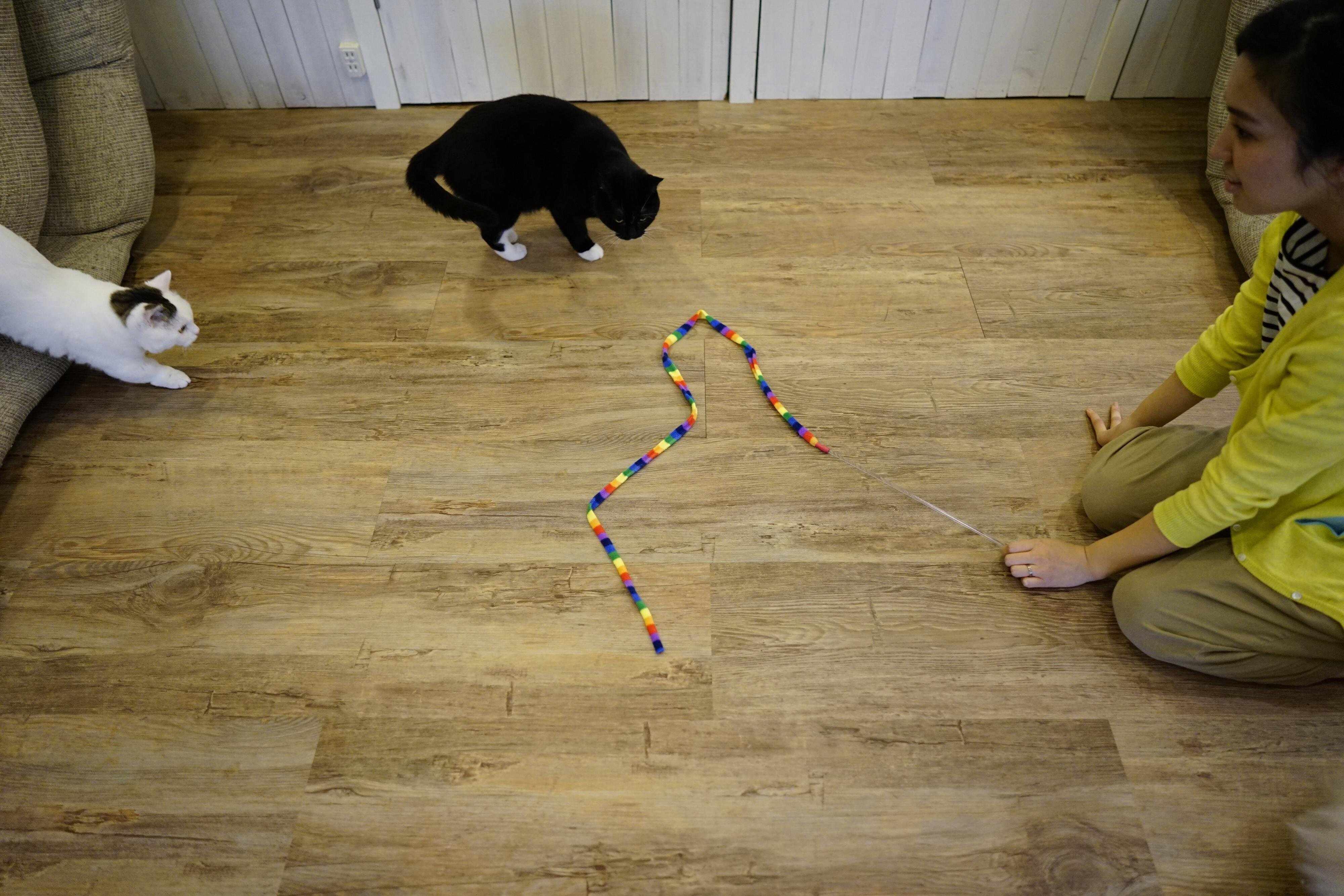 撮影／石原さくら