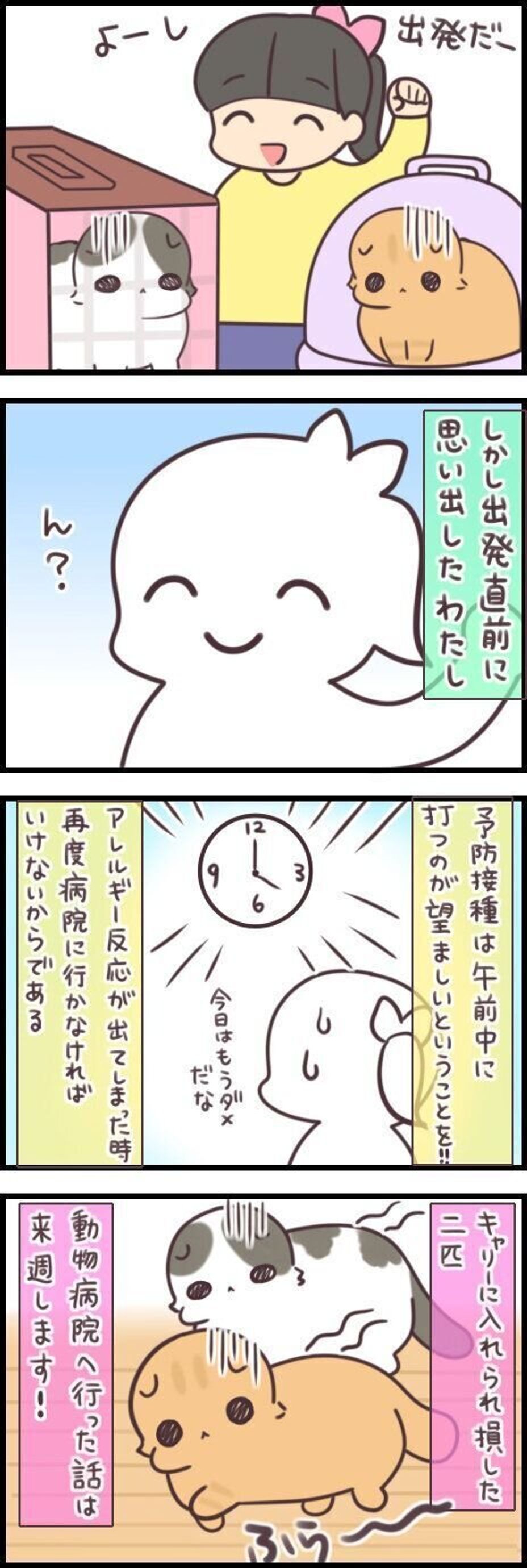 杞憂だけでぐったりお疲れな猫 予防接種の日程を間違ってゴメンね 連載 もふもふスコたん 211 ねこのきもちweb Magazine 杞憂だけでぐったりお疲れな猫 予防接種の日程を間違ってゴメンね 連載 もふもふスコたん 211 ねこのきもちweb Magazine