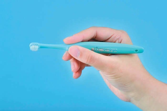 猫の歯を磨くときの歯ブラシの持ち方