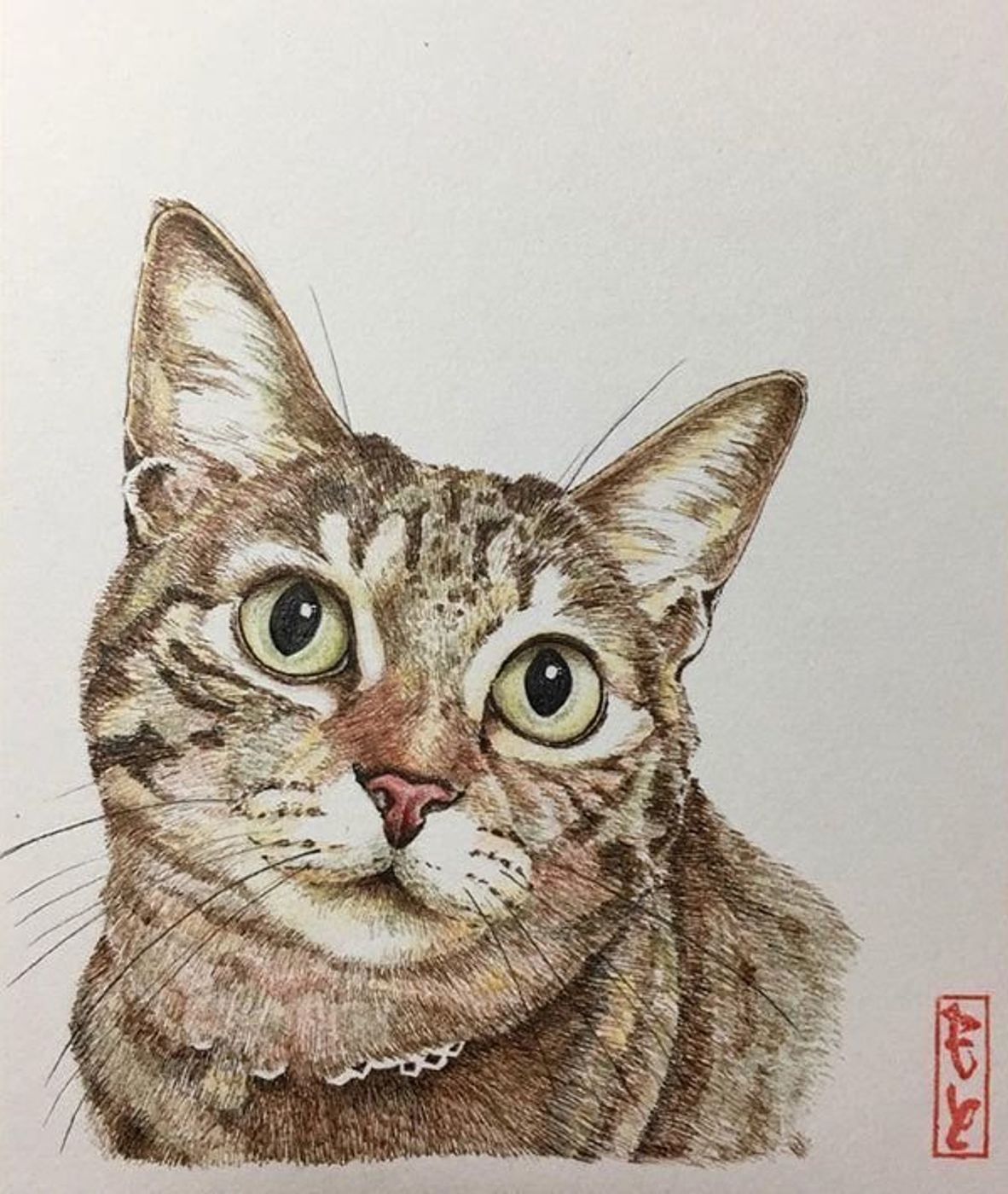 猫好きさんに話題沸騰中 超リアルな世界でひとつのオーダーメイド作品が素敵 ねこのきもちweb Magazine 猫好きさんに話題沸騰中 超リアルな世界でひとつのオーダーメイド作品が素敵 ねこのきもちweb Magazine