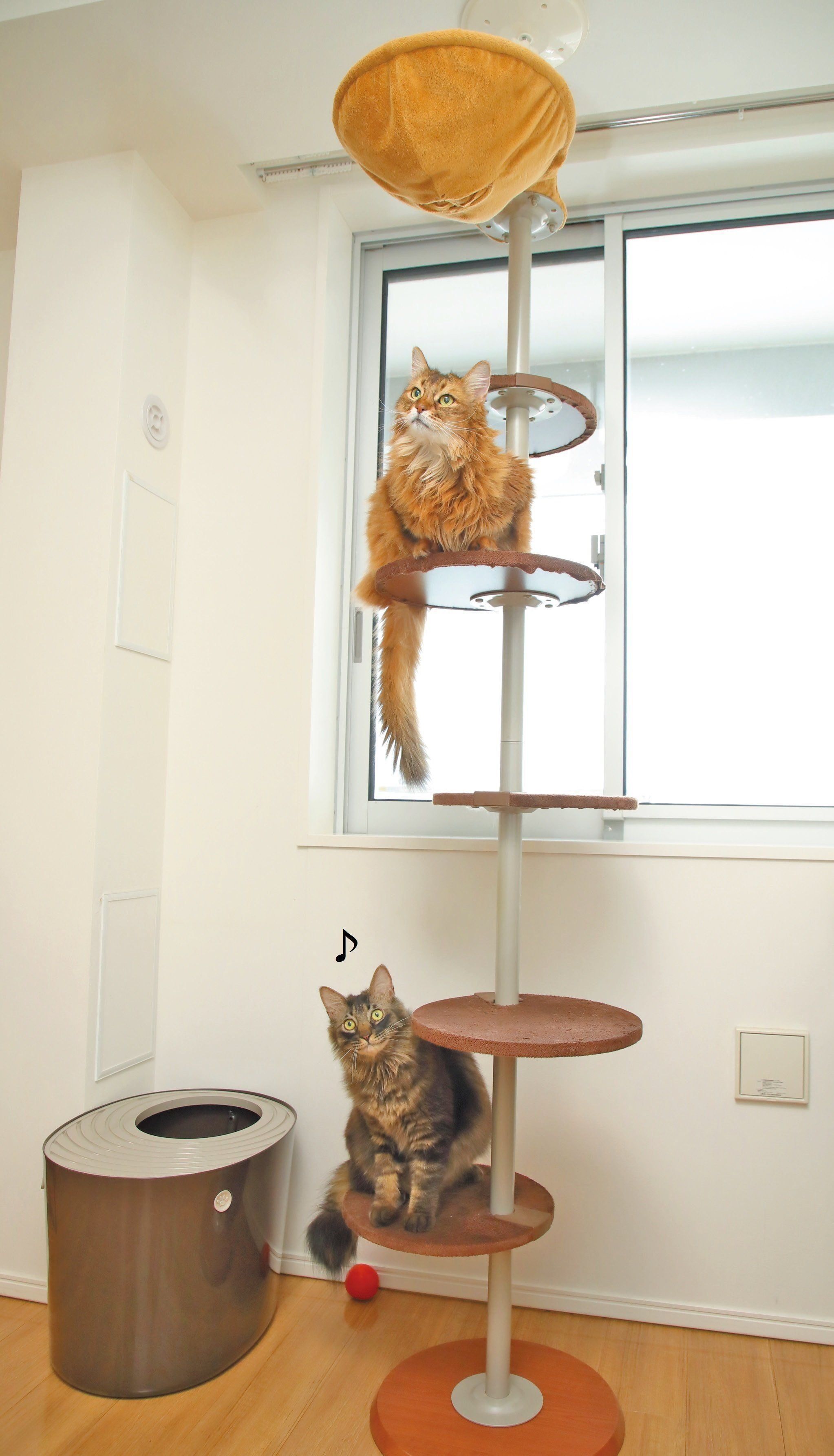 撮影／尾﨑たまき