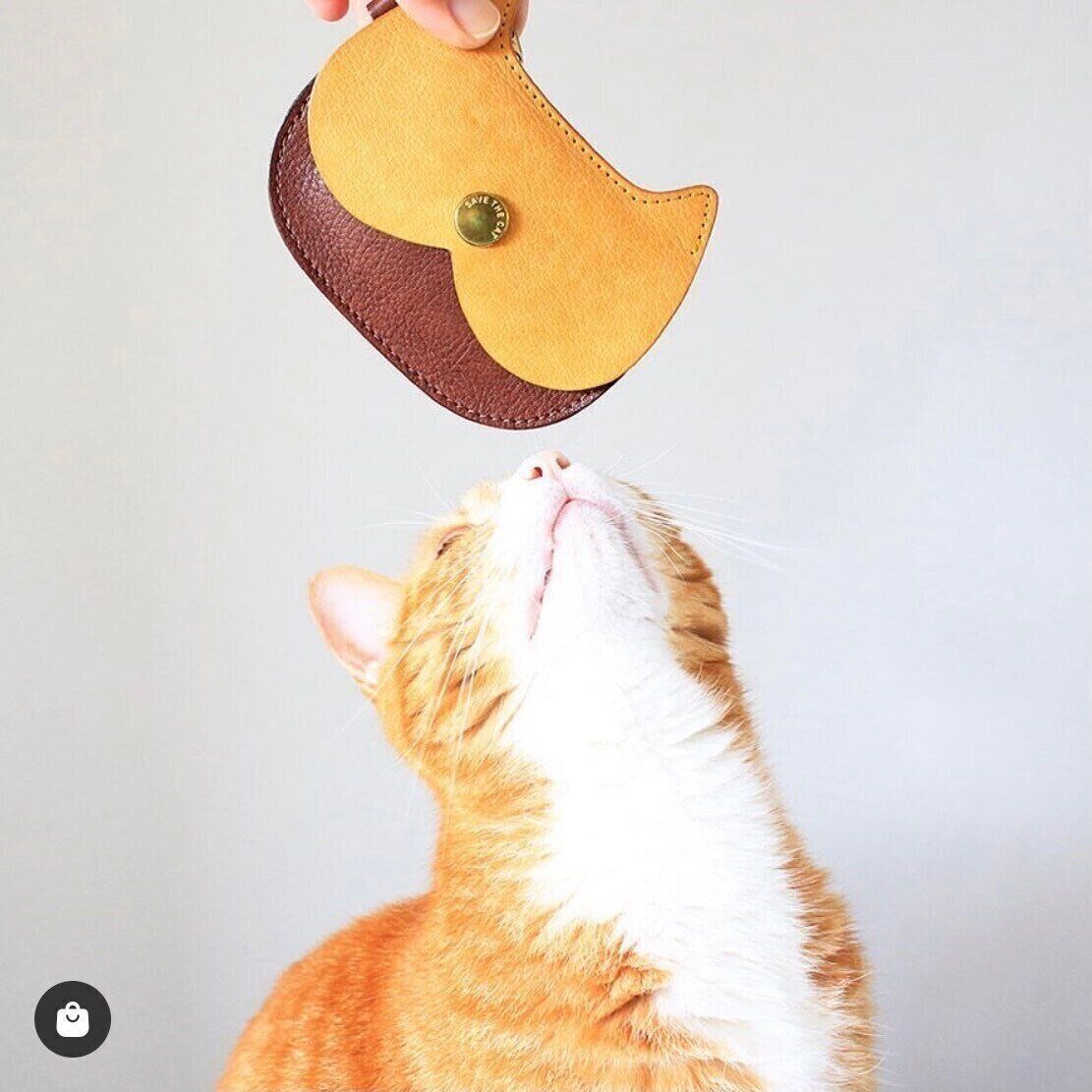 CAT FACE SMALL PURSEと猫