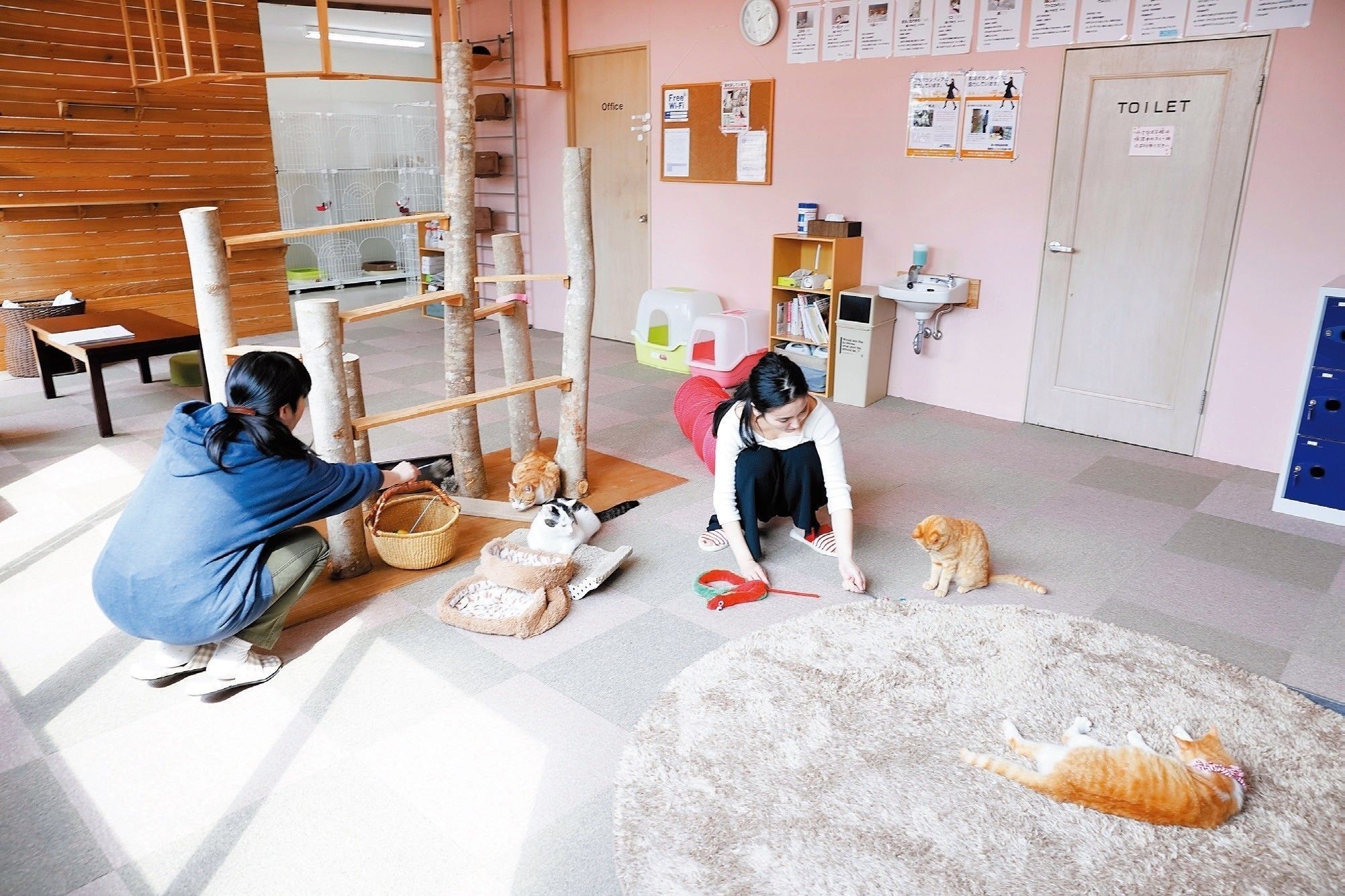 撮影／後藤さくら