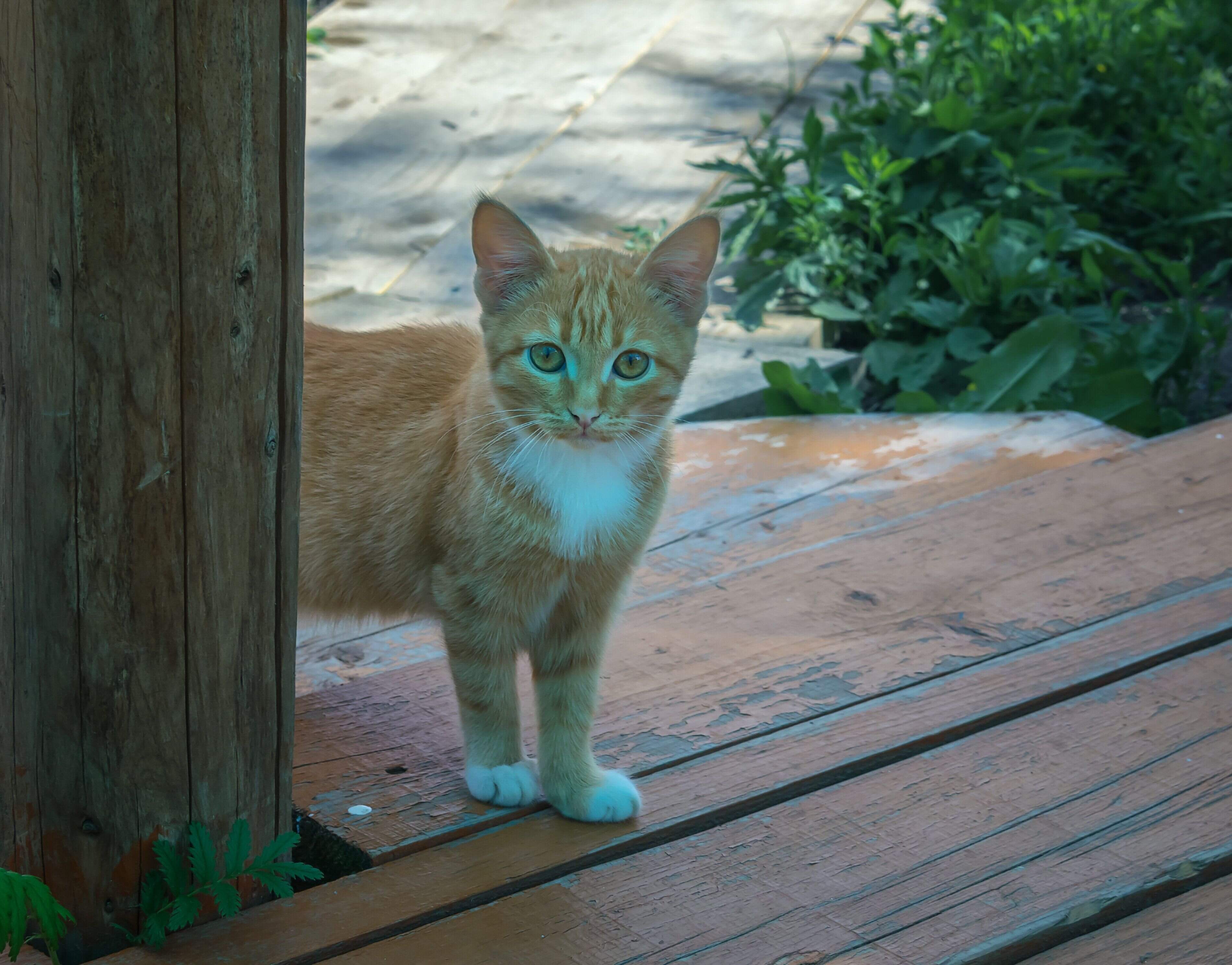 画像／iStock、Getty Images Plus