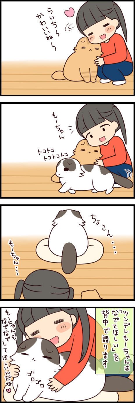 「もふもふスコたん」vol.41