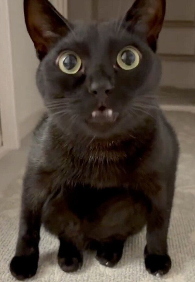 座り方のクセがスゴいうにくん