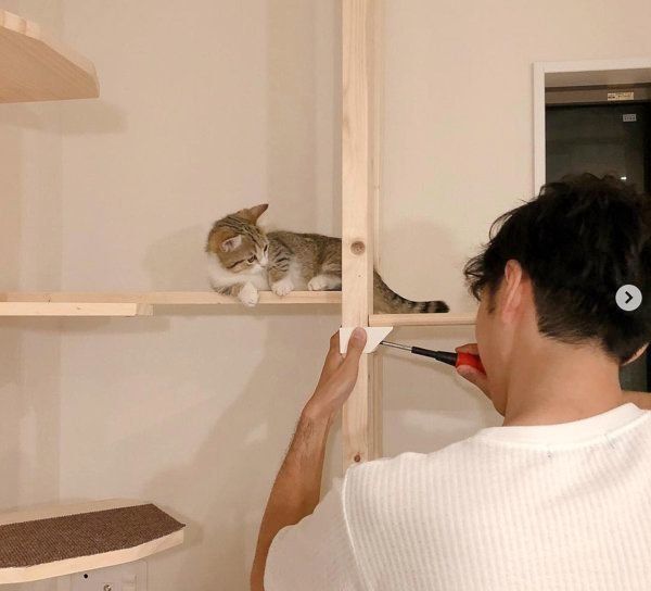 見つめるよぐちゃん