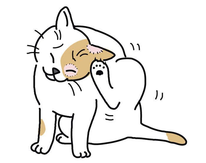 イラスト／chizuru