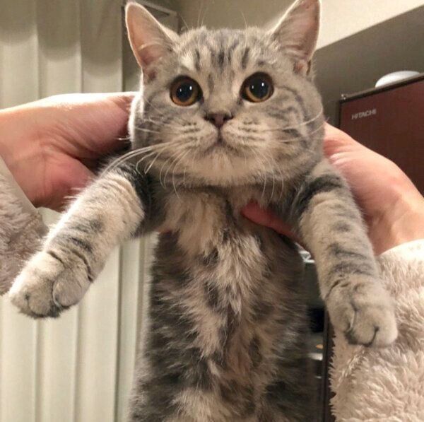 生後6カ月のぽぺんちゃん